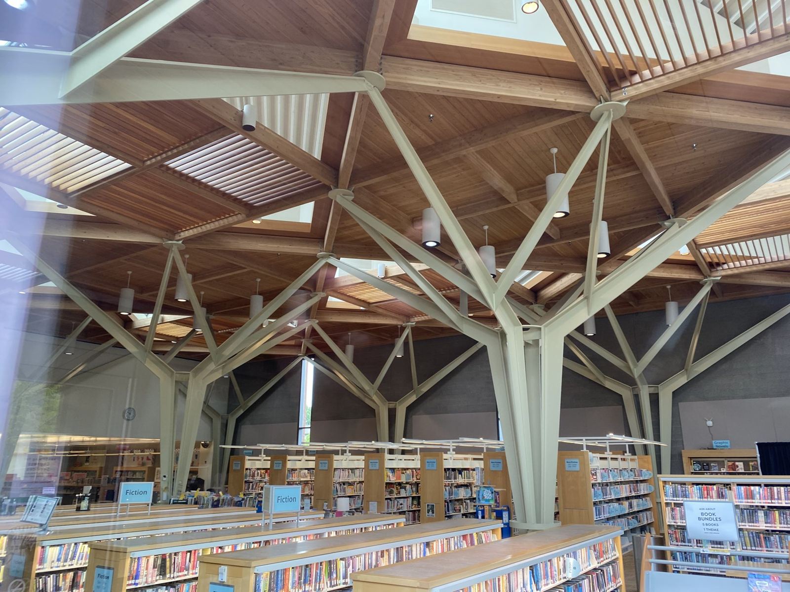 Tree-column specialty steel supporting a wood roof inside a public library